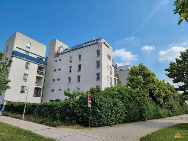 Koffer packen und einziehen inkl. Tiefgaragen Stellplatz Gartennutzung