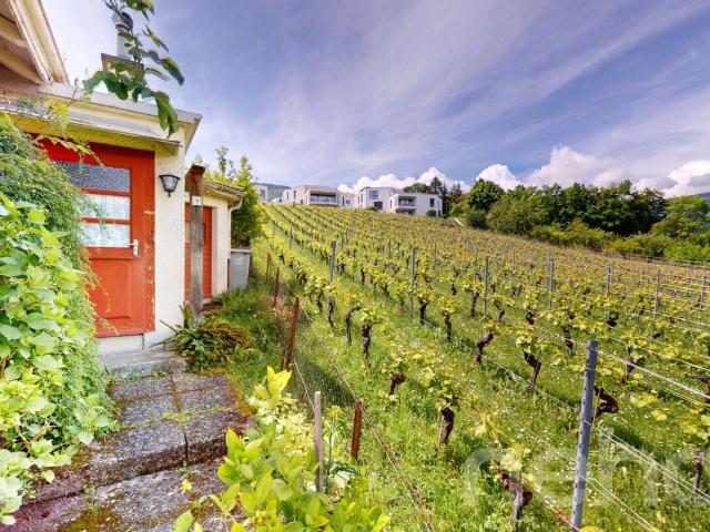 Kokon zu schaffen mit ungehinderter Sicht auf die Weinberge