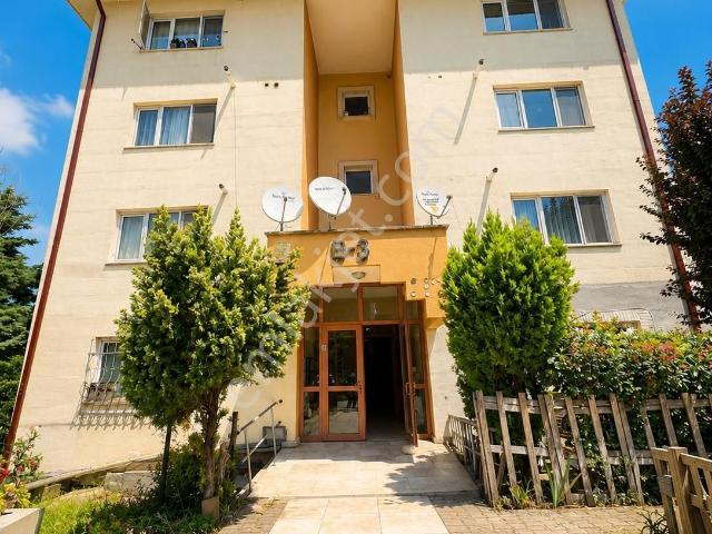 Korucuk'ta Kiralık 1+1 Daire Ulaşıma Ve Markete Yakın !