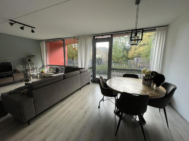 Korreweg 211