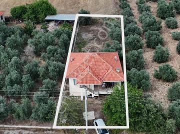 Köyceğiz Zeytinalanı 527 M2 Arsa İçerisinde Satılık Müstakil Ev