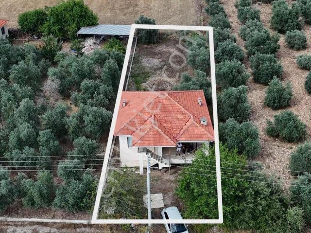 Köyceğiz Zeytinalanı 527 M2 Arsa İçerisinde Satılık Müstakil Ev