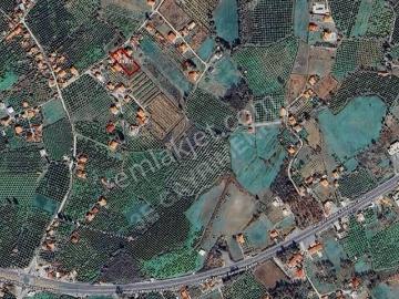 Köyceğiz Döğüşbelen 2.088 M² Bahçe İçinde 3 Ayrı Yaşam Alanı