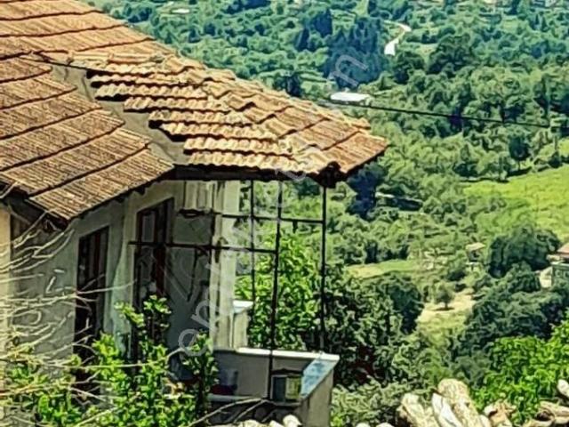 Köyde Yaşayayım Ömrüm Uzasın Dıyenlere