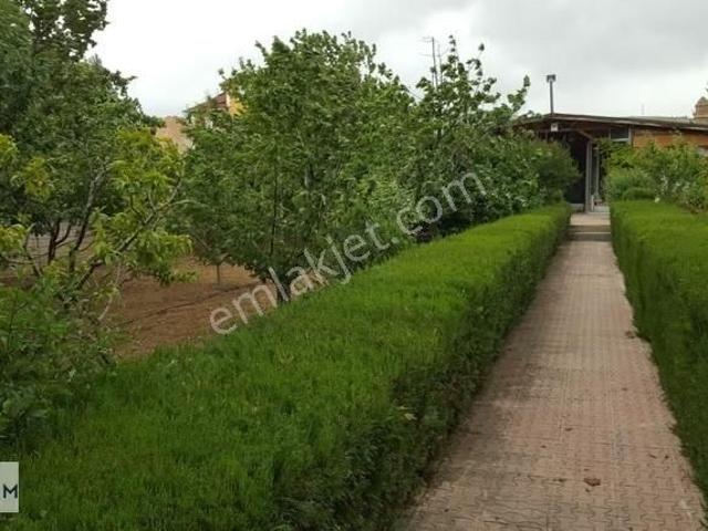 Kozağaçta 1.000m2 Arsa İçerisinde Satılık Müstakil Ev