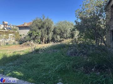 Kozan, Adana ili, Akdeniz Bölgesi