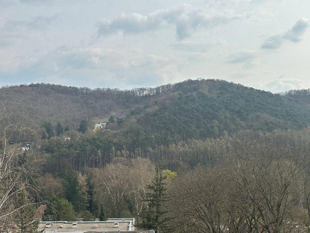 Klosterneuburg Ein Ausblick wie vom Adlerhorst.