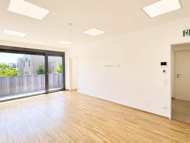 Klagenfurt St.Veiter Straße: 3 ZI Wohnung mit Deckenbeleuchtung im Office Style & Balkon