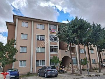 Merzifon, Amasya ili, Karadeniz Bölgesi