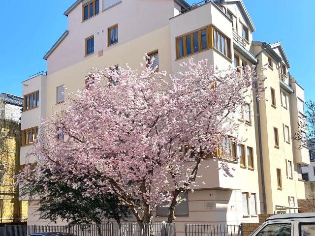 Klassisches Anlageobjekt! Interessante 2 Zimmer Wohnung mit PKW Stellplatz in der Garage!