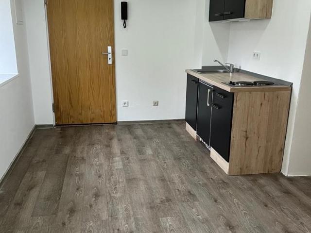 Klein und Fein! Schönes 1 ½ Zimmer Appartement in ruhiger Wohnlage von Passau Heining