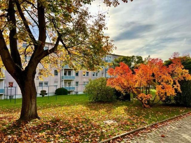1 Monat Kaltmietfrei Tolle 2 Raumwohnung in ruhiger Lage