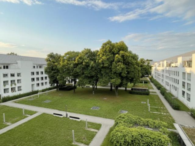 Kleine 3 Raum Dachgeschosswohnung mit großer Terrasse 15 m² in Linz/Bindermichl! ACHTUNG Wohnung befindet sich noch in Sanierung! Bezug ab sofort!