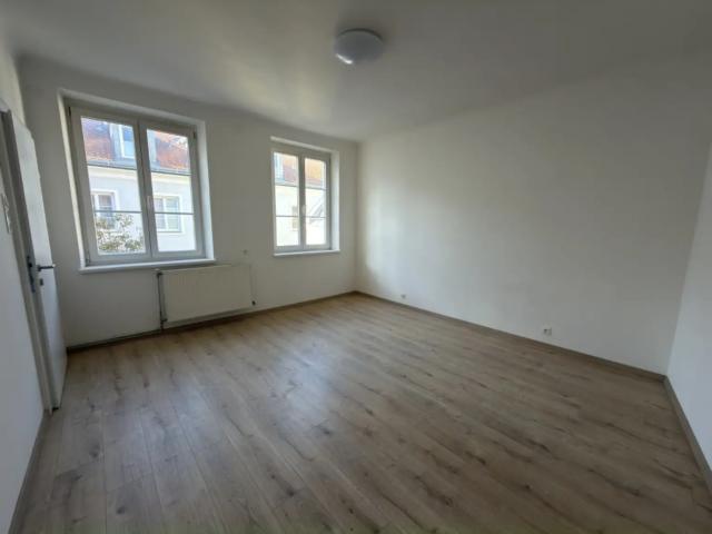Kleine 1 Zimmer Mietwohnung im Zentrum!