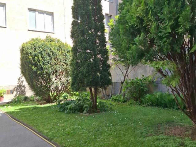 Kleine gepflegte Eigentumswohnung in Ruhelage Nahe Vet Uni