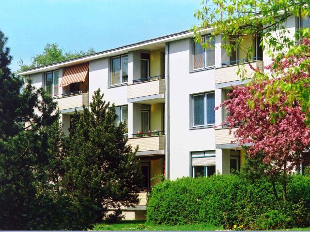 Kleine Familie gesucht!