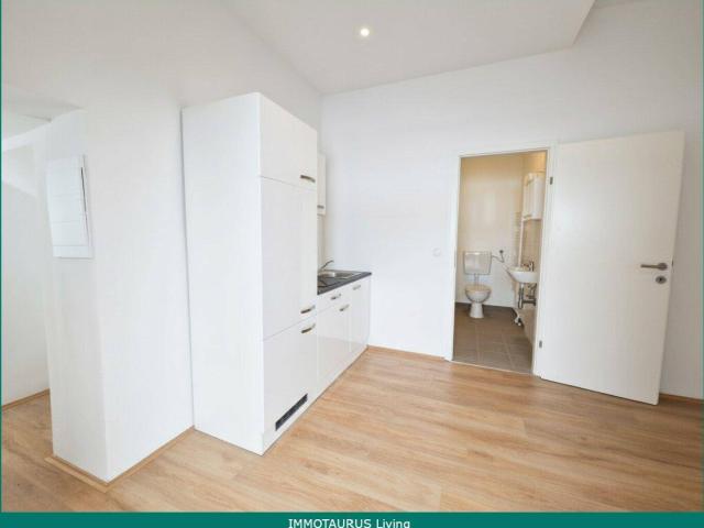 Kleine feine Stadtwohnung in Graz Gries – ideal für Singles, Studenten und Berufspendler!