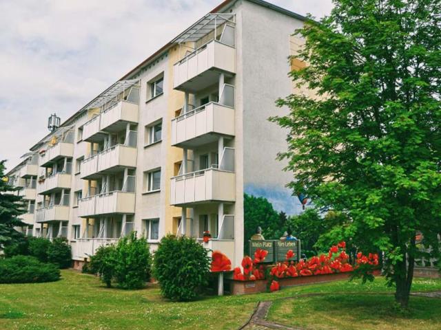 Kleine Innenstadtwohnung. Dr. Wilhelm Külz Straße 26, 17291 Prenzlau