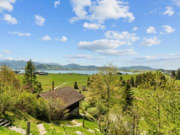 Villa zum Verkauf in Kanton Schwyz
