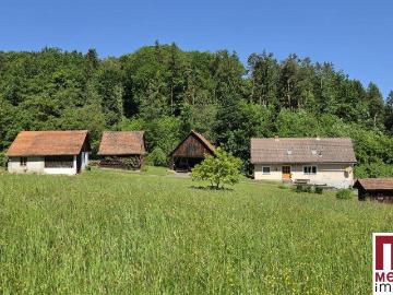 Kleine Landwirtschaft in traumhafter Ruhelage nahe Riegersburg