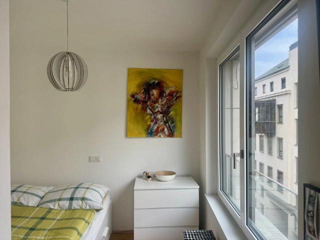 Kleine Wohnung im Zentrum von Linz