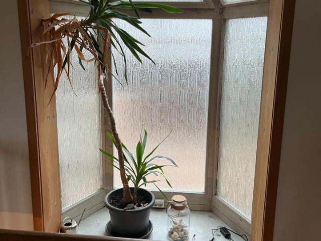 Kleines Einfamilienhaus ohne Garten aber mit viel Charme