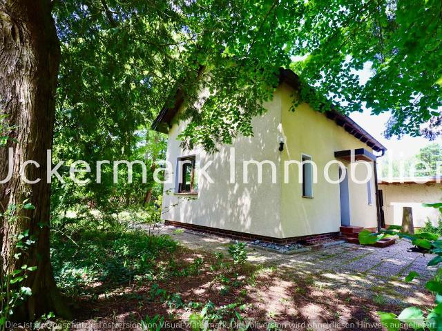 Kleines Haus auf großem Grundstück