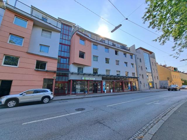 Kleinwohnung bei der Neuen Technik Petersgasse 15 17, Top 7