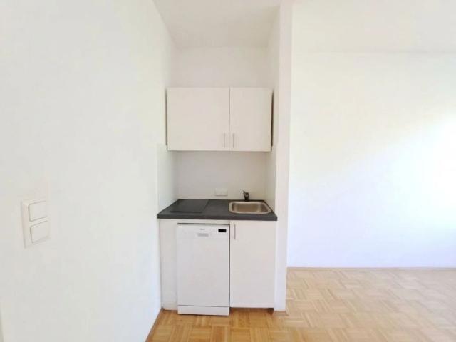 Kleinwohnung bei der Neuen Technik Petersgasse 15 17, Top 23