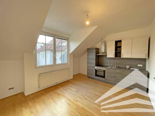 Klimatisierte, großzügige, WG geeignete 3 Zimmer Wohnung in Linz Urfahr!