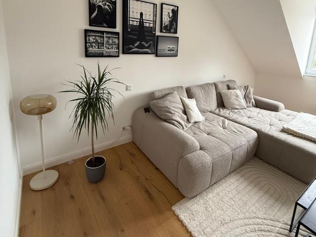Klimatisierte & helle DG Wohnung in kernsaniertem Altbau sucht Nachmieter