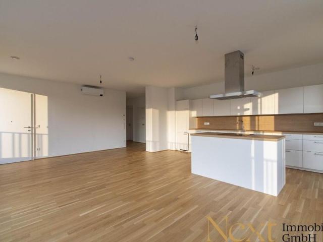 Klimatisierte 3 Zimmer Dachgeschßwohnung mit ca. 60m² großer Terrasse in Linz nähe Hummelhofwald zu vermieten!