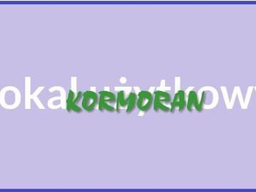 Atrakcyjny lokal handlowo usługowy w centrum Kluczborka