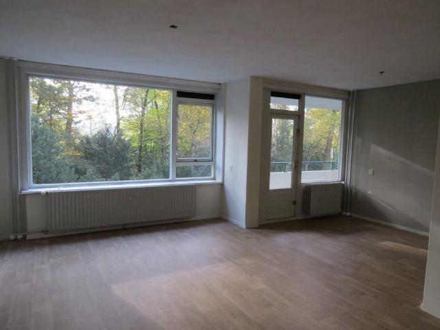Kluizeweg 468