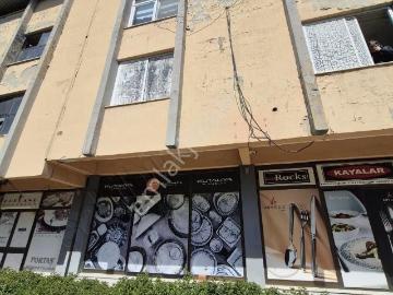 Bornova, İzmir ili, Ege Bölgesi