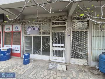 Bayraklı, İzmir ili, Ege Bölgesi - Bahçe