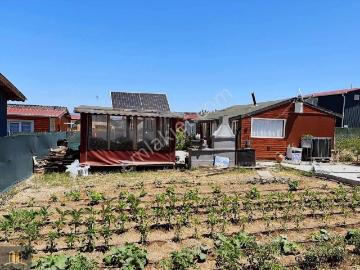 Odunpazarı, Eskişehir ili, İç Anadolu Bölgesi