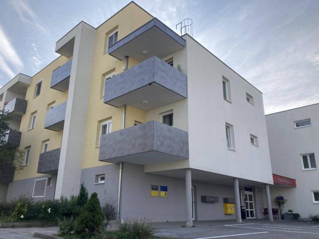 Kreuzfeldgasse 1/1/6