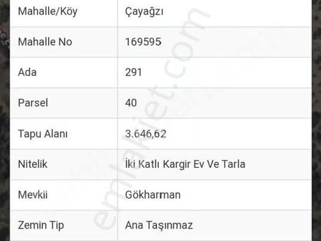 Küçük Menderes'ten Kiraz Çayağzı Mh Satılık Ev, Zeytin Bahçesi