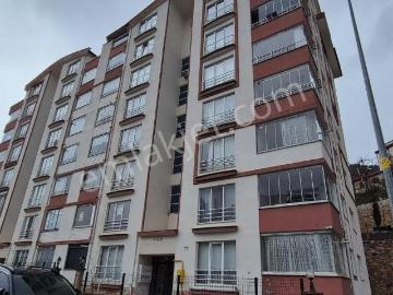 Yeşilbağ Caddesi, Tokat, Tokat ili, Karadeniz Bölgesi