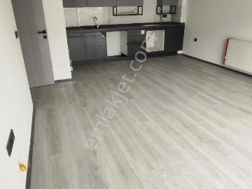 Aydın, Ege Bölgesi, Aydın ili, Ege Bölgesi