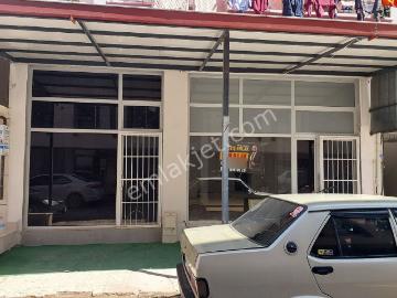 Kuşadası, Aydın ili, Ege Bölgesi