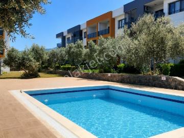 Kuşadası Davutlar Havuzlu Sitede Satılık 1+1 Bahçe Katı Daire