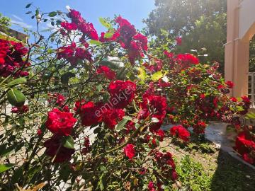Kuşadası Güzelçamlı Sezonluk Kiralık Daire