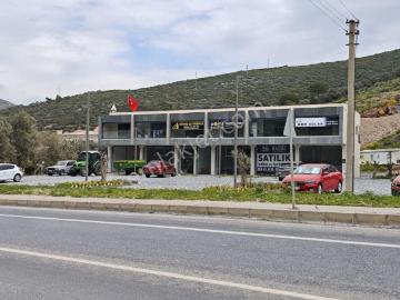 Kuşadası, Aydın ili, Ege Bölgesi - Ofis odası