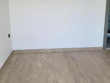 Aydın, Ege Bölgesi, Aydın ili, Ege Bölgesi