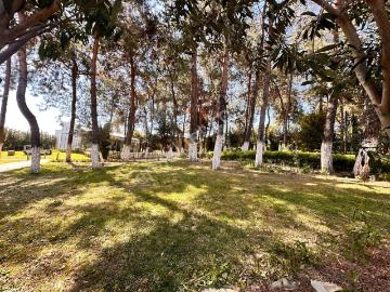 Kuşadası Soğucak Özel Havuzlu, Müstakil Eşyalı/eşyasız Kiralık