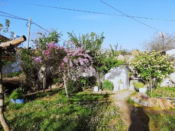 Kuşadası Yeniköy De Müştemilatı Olan Köy Evi