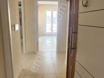 Kuşadası, Aydın ili, Ege Bölgesi