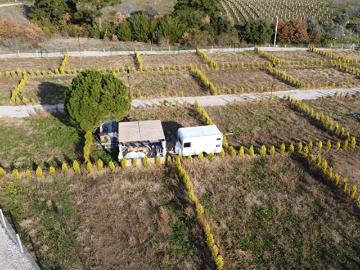 Selçuk, İzmir ili, Ege Bölgesi